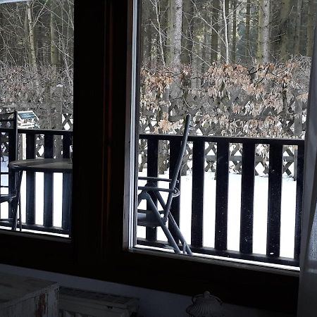 Waldsee-Ferienhaus-Mit-Kamin-W-Lan Клаустал-Целерфелд Екстериор снимка