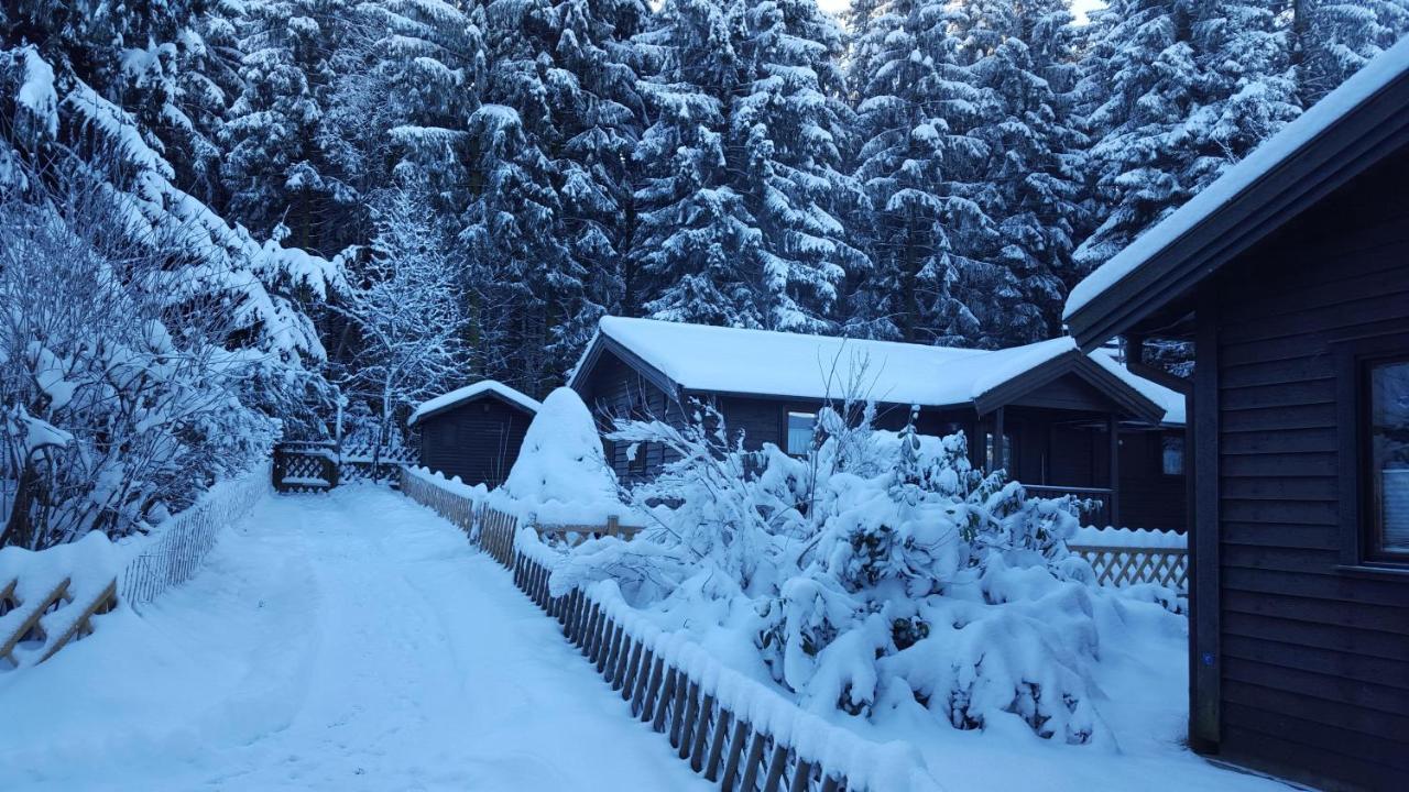 Waldsee-Ferienhaus-Mit-Kamin-W-Lan Клаустал-Целерфелд Екстериор снимка