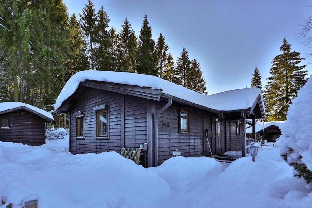 Waldsee-Ferienhaus-Mit-Kamin-W-Lan Клаустал-Целерфелд Екстериор снимка