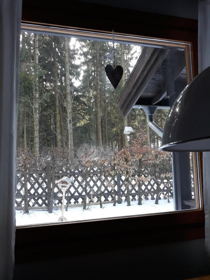 Waldsee-Ferienhaus-Mit-Kamin-W-Lan Клаустал-Целерфелд Екстериор снимка