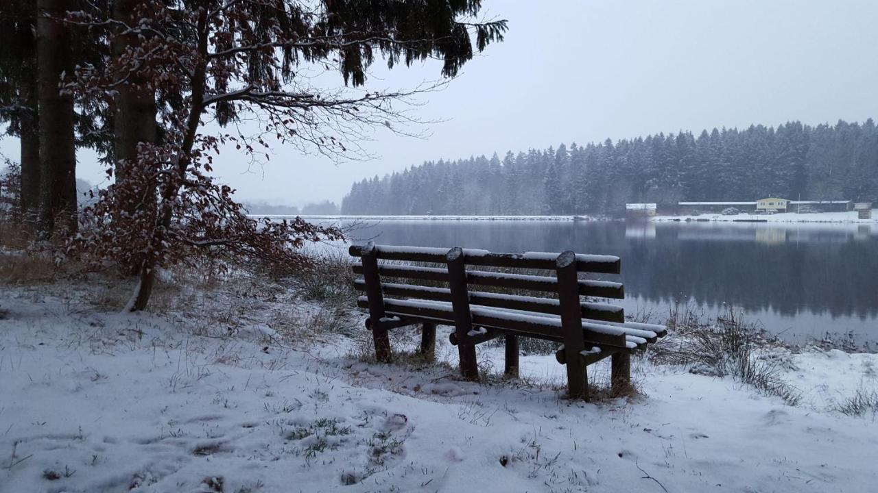Waldsee-Ferienhaus-Mit-Kamin-W-Lan Клаустал-Целерфелд Екстериор снимка
