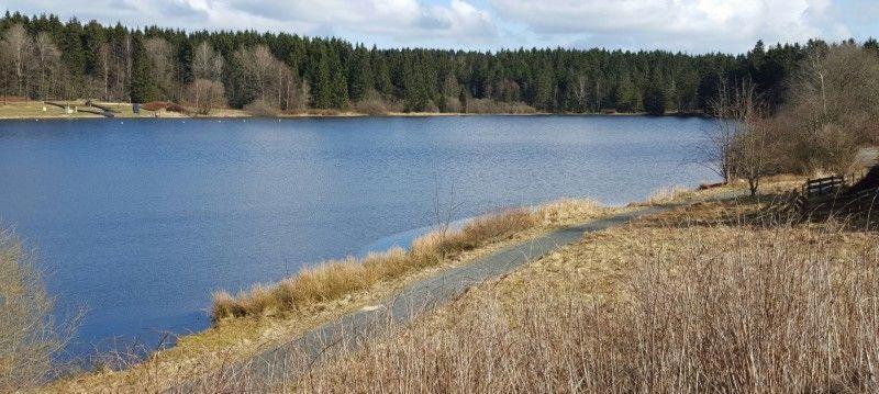 Waldsee-Ferienhaus-Mit-Kamin-W-Lan Клаустал-Целерфелд Екстериор снимка