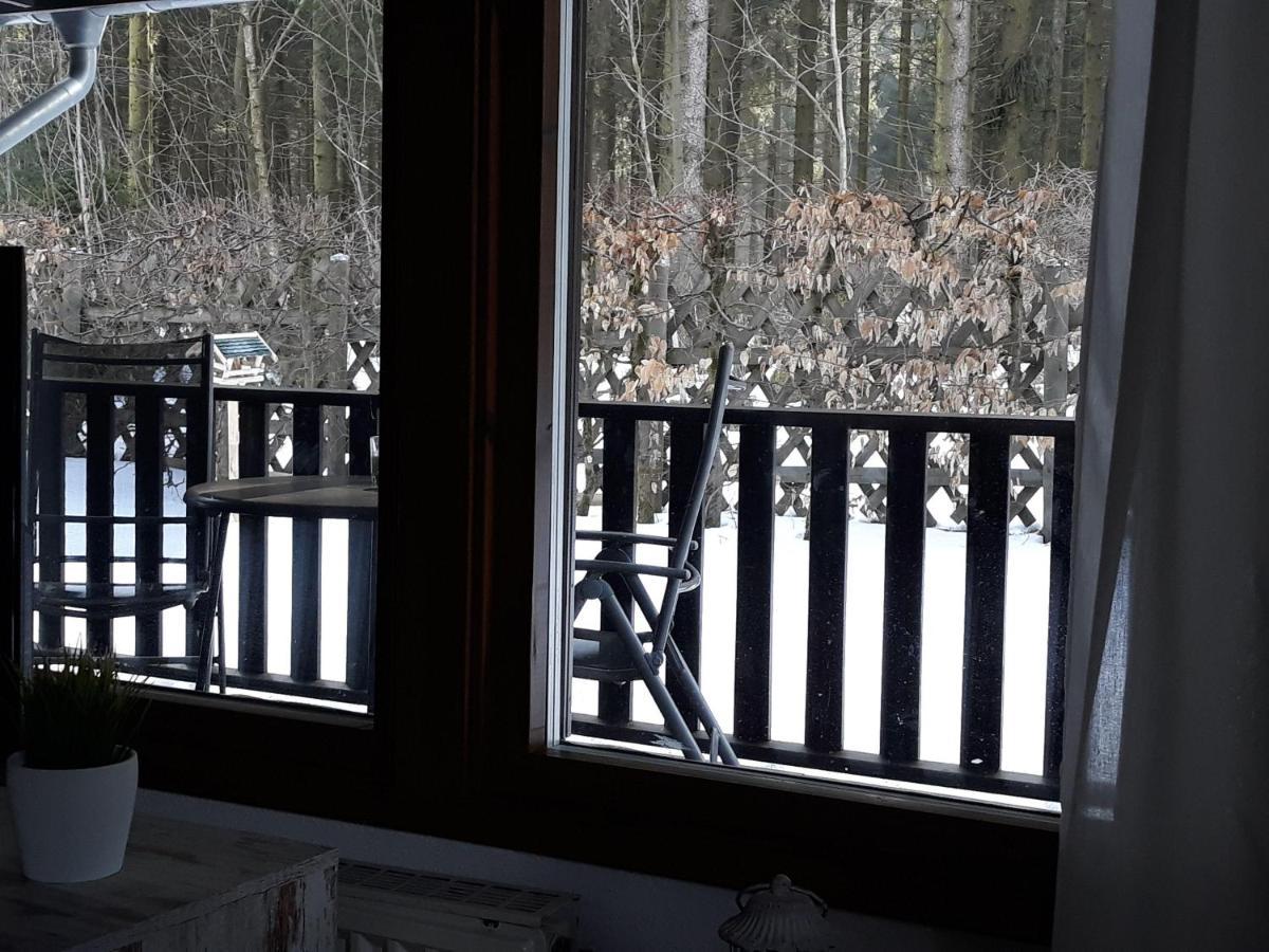 Waldsee-Ferienhaus-Mit-Kamin-W-Lan Клаустал-Целерфелд Екстериор снимка